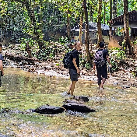 Thejungleguide - Lodges & Treks Bukit Lawang Exterior photo
