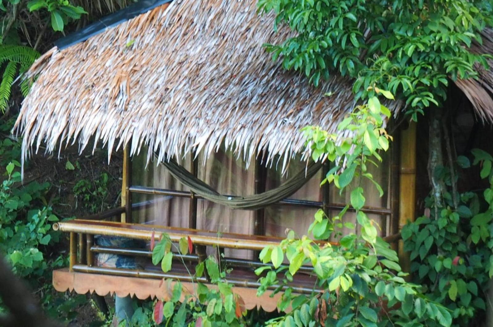 Thejungleguide - Lodges & Treks Bukit Lawang Exterior photo