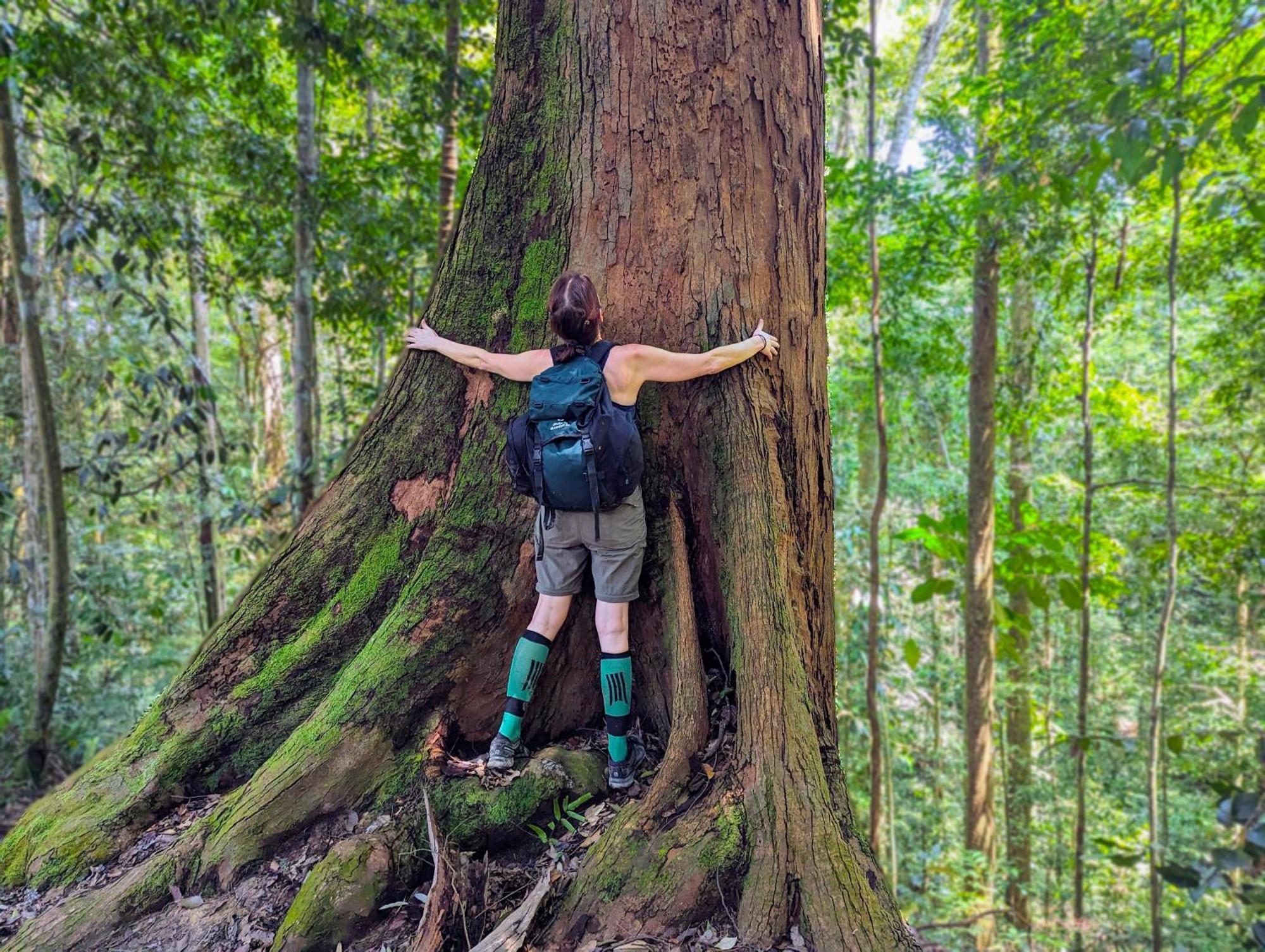 Thejungleguide - Lodges & Treks Bukit Lawang Exterior photo