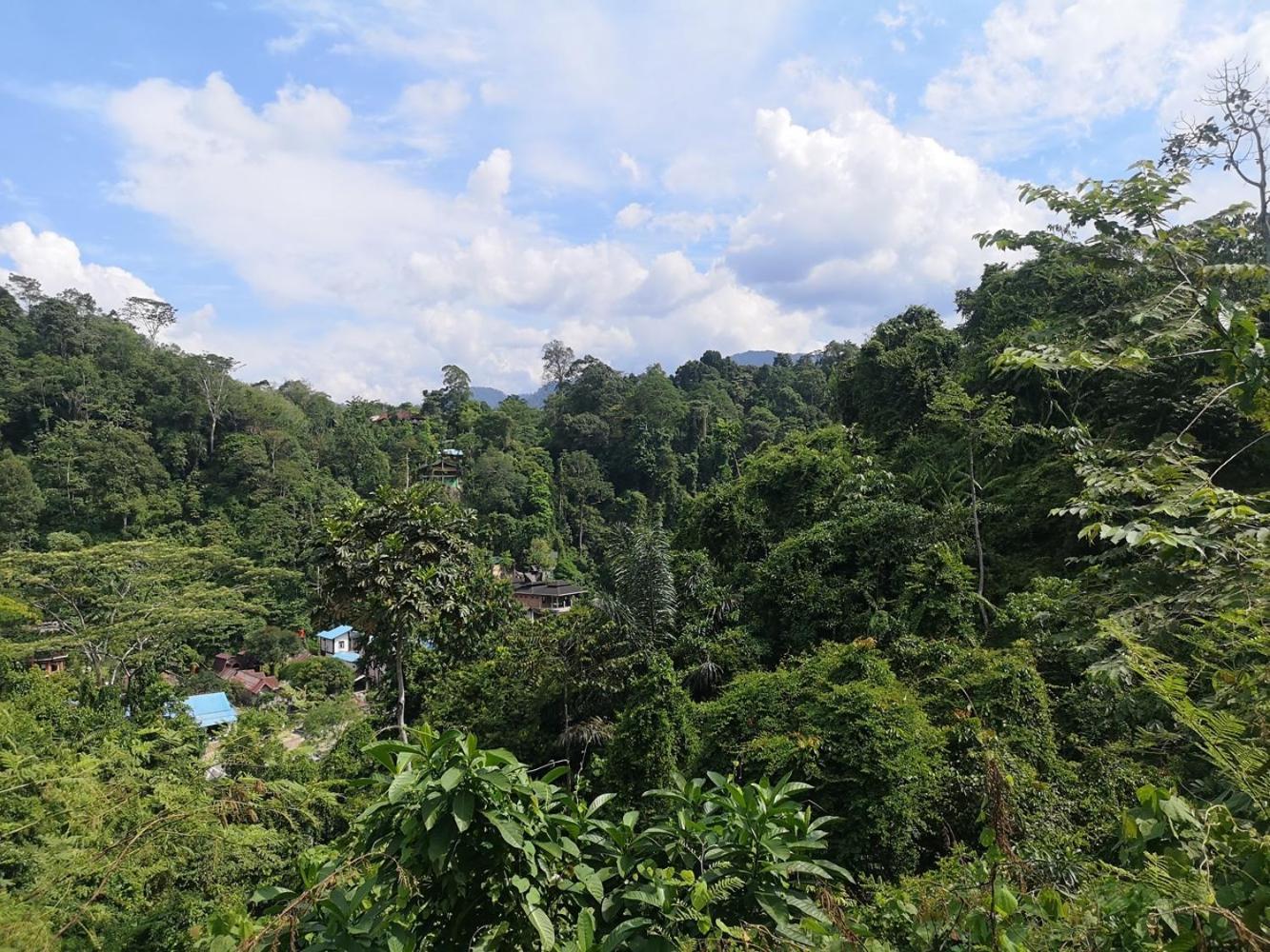 Thejungleguide - Lodges & Treks Bukit Lawang Exterior photo