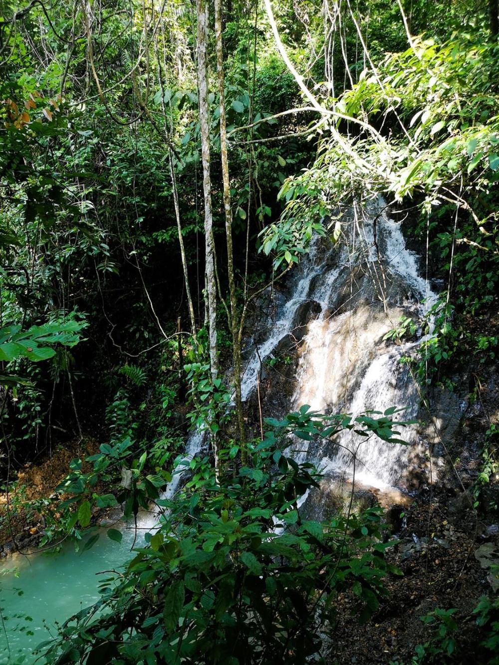 Thejungleguide - Lodges & Treks Bukit Lawang Exterior photo