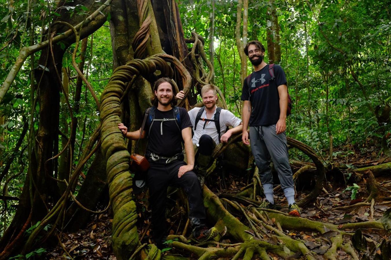 Thejungleguide - Lodges & Treks Bukit Lawang Exterior photo