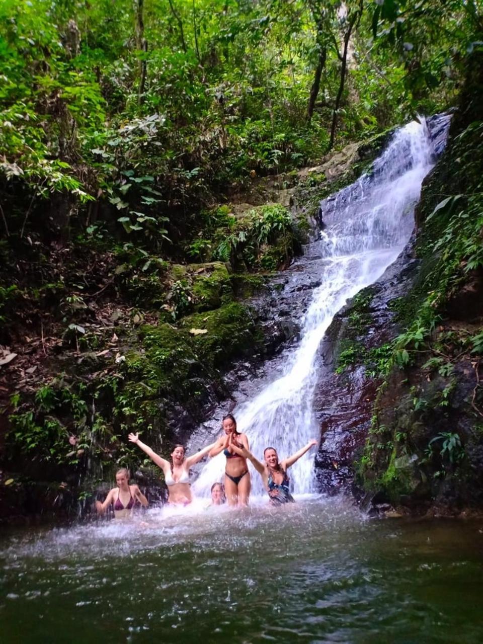 Thejungleguide - Lodges & Treks Bukit Lawang Exterior photo