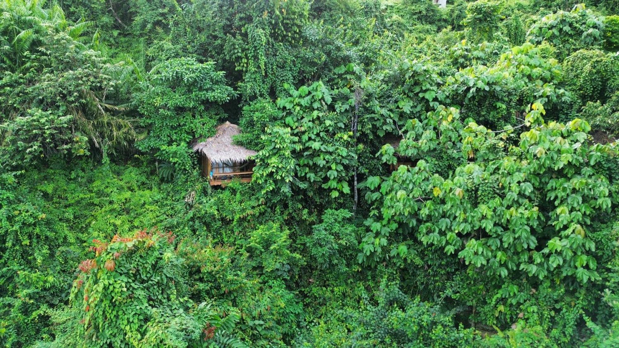 Thejungleguide - Lodges & Treks Bukit Lawang Exterior photo